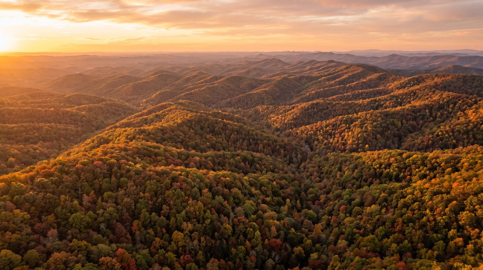 Relocating to North Georgia: What Does a Local Realtor Actually Do for You?